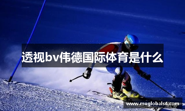 透视bv伟德国际体育是什么
